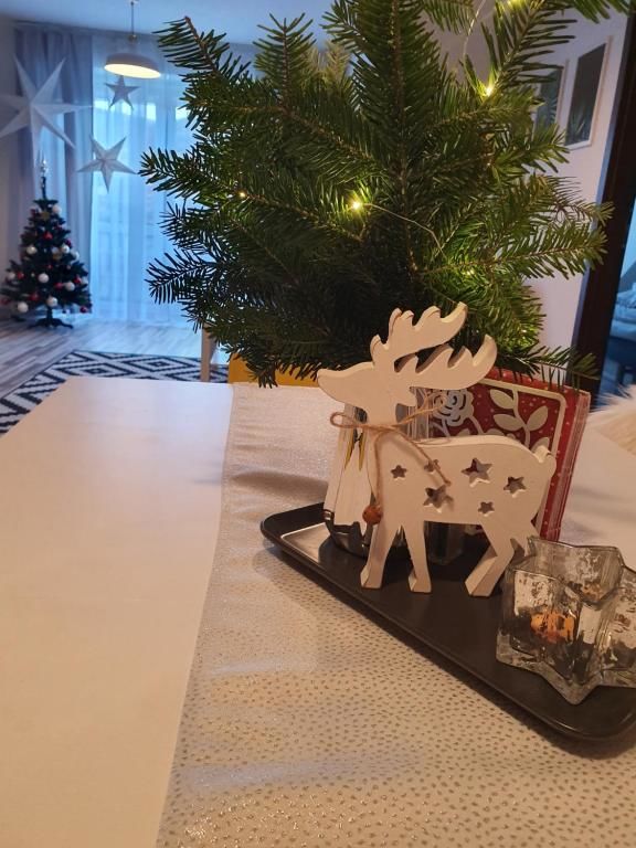 Апартаменты Apartament w centrum Устшики-Дольне-57
