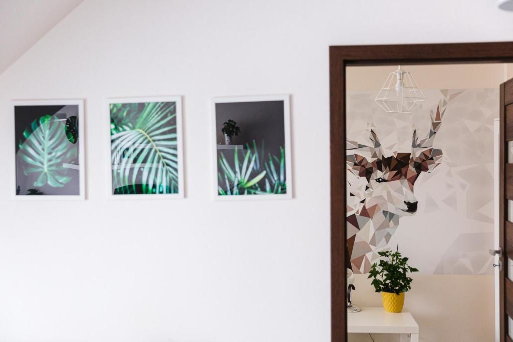 Апартаменты Apartament w centrum Устшики-Дольне-83